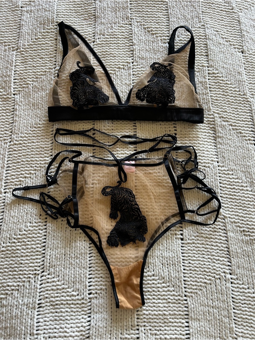 Sheer Black Embroidered Lace Bralette & High-Waist Brief Set